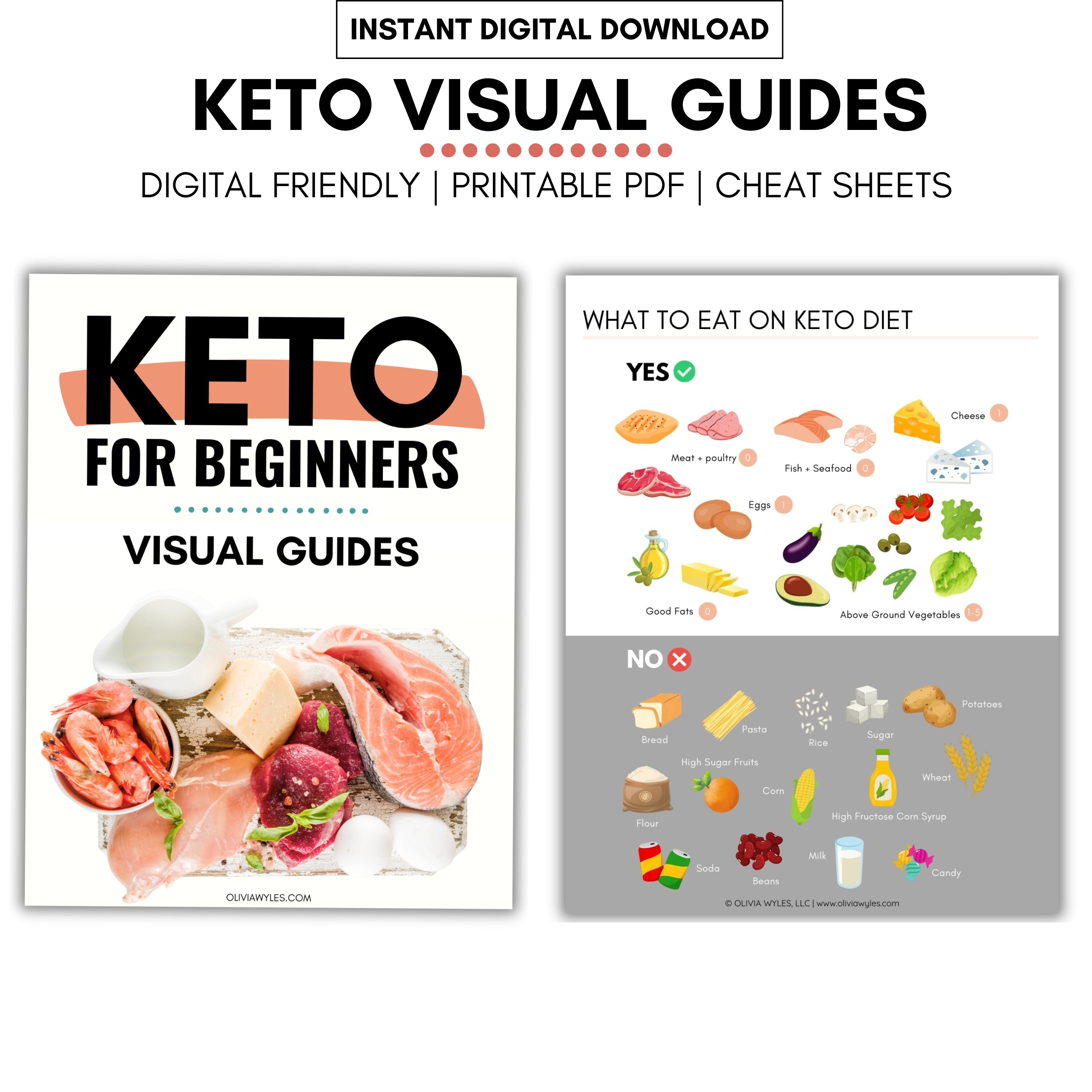 Keto Visual Guides Printable (14 Pages)